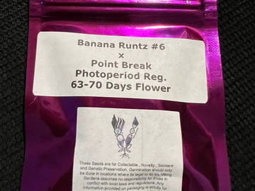 Vente: Viking Gardens Banana Runtz #6 x Point Break 12 pack