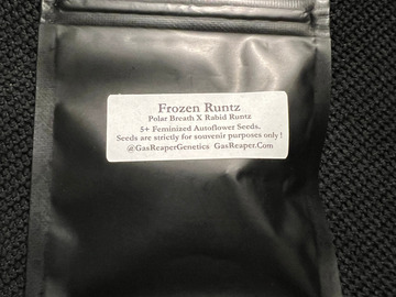 Vente: Gas Reaper Genetics Frozen Runtz 5+ pack