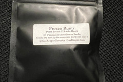 Sell: Gas Reaper Genetics Frozen Runtz 5+ pack