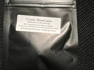 Vente: Gas Reaper Genetics Candy MintCakes 10+ pack