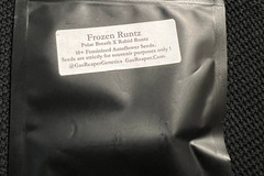 Sell: Gas Reaper Genetics Frozen Runtz 10+ pack