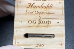 Venta: Humboldt Seed Organization OG Kush