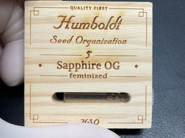 Vente: Humboldt Seed Organization Sapphire OG