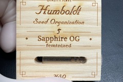 Venta: Humboldt Seed Organization Sapphire OG