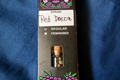 Sell: RED DACCA (Rozay x Banana OG BX1) by Relentless Genetics