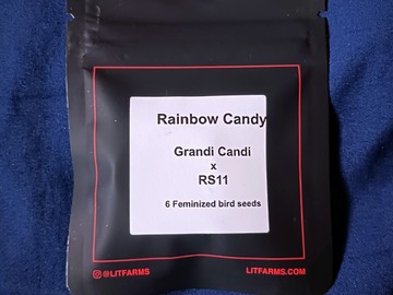 Venta: Rainbow Candy (Grandi Candi x RS-11) - LIT Farms
