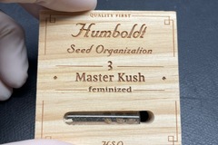 Venta: Humboldt Seed Organization Master Kush