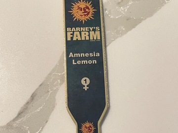Barney’s Farm Lemon Amnesia