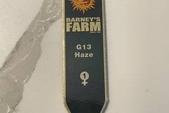 Venta: Barney’s Farm G13 Haze