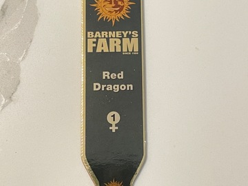 Sell: Barney’s Farm Red Dragon