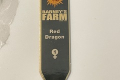 Sell: Barney’s Farm Red Dragon