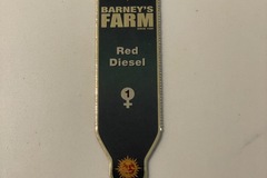 Sell: Barney’s Farm Red Diesel