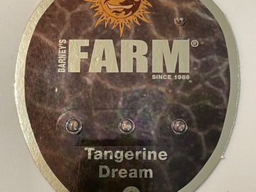 Venta: Barney’s Farm Tangerine Dream