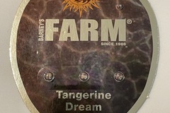 Sell: Barney’s Farm Tangerine Dream