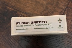 Venta: Symbiotic Genetics - Punch Breath