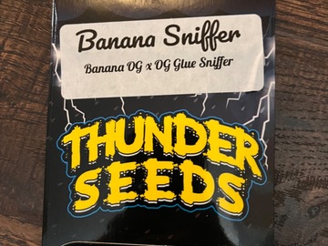 Vente: Thunder Seeds - Banana Sniffer