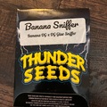 Sell: Thunder Seeds - Banana Sniffer