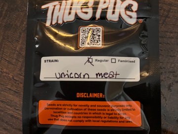 Sell: Thug Pug - Unicorn Meat