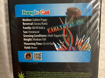 Sell: Jungle Cat from Exotic Genetix