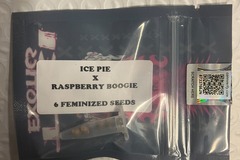 Vente: Ice Pie x Raspberry Boogie