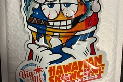 Sell: Hawaiian Snow Cone from Tiki Madman/Big Al's Exotics