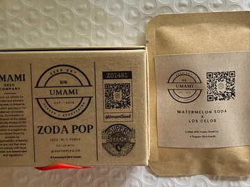 Sell: Zoda Pop from Umami