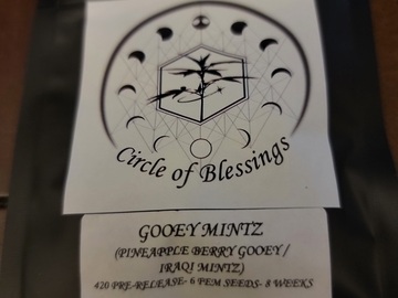 Vente: Strayfox Gardenz - Gooey Mintz