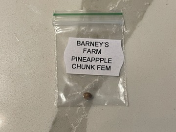 Vente: Barney’s Farm pineapple chunk