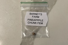 Vente: Barney’s Farm pineapple chunk