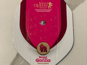 Venta: Royal Queen Seeds Royal Gorilla