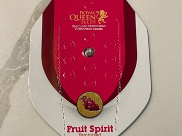 Venta: Royal Queen Seeds Fruit Spirit