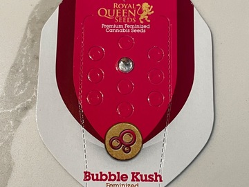 Vente: Royal Queen Seeds Bubble Kush