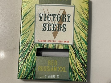 Vente: Victory Seeds Red Russian XXL