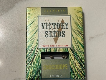 Sell: Victory Seeds Chocodope