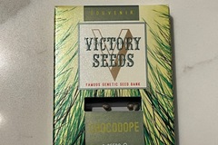 Sell: Victory Seeds Chocodope