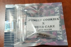 Sell: Jungle cookies x Sherb Cake