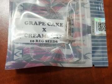 Vente: Grape Cake x Creamiscle