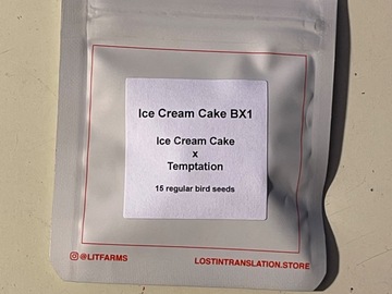 Sell: Ice Cream Cake Bx1 from LIT Farms