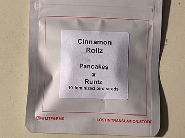 Sell: Cinnamon Rollz from LIT Farms