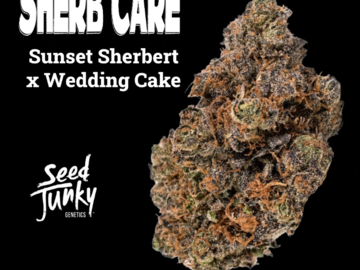 Venta: Sherb Cake