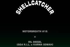 Sell: Shellcatcher