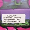 Vente: Gastastic 10 Fem Pack (Lusty Lady X GasBasket)