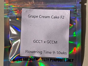 Sell: Grape Cream Cake F2 from Bloom Seed Co.