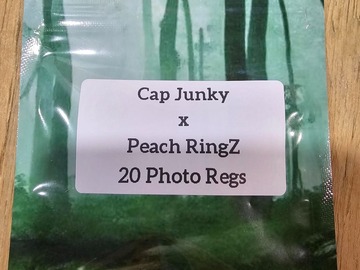 Venta: Cap Junky x Peach RingZ - 20 Photo Regs