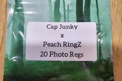 Venta: Cap Junky x Peach RingZ - 20 Photo Regs