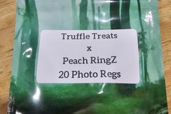 Venta: Truffle Treats x Peach RingZ - 20 Photo Regs