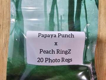 Venta: Papaya Punch x Peach RingZ - 20 Photo Regs