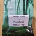 Vente: Papaya Punch x Peach RingZ - 20 Photo Regs