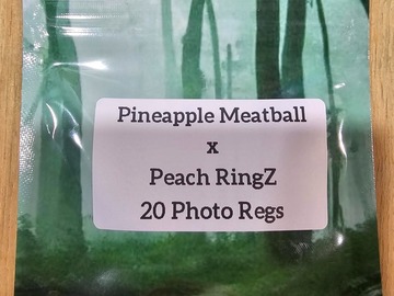 Venta: Pineapple Meatball x Peach RingZ - 20 Photo Regs