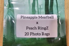 Vente: Pineapple Meatball x Peach RingZ - 20 Photo Regs